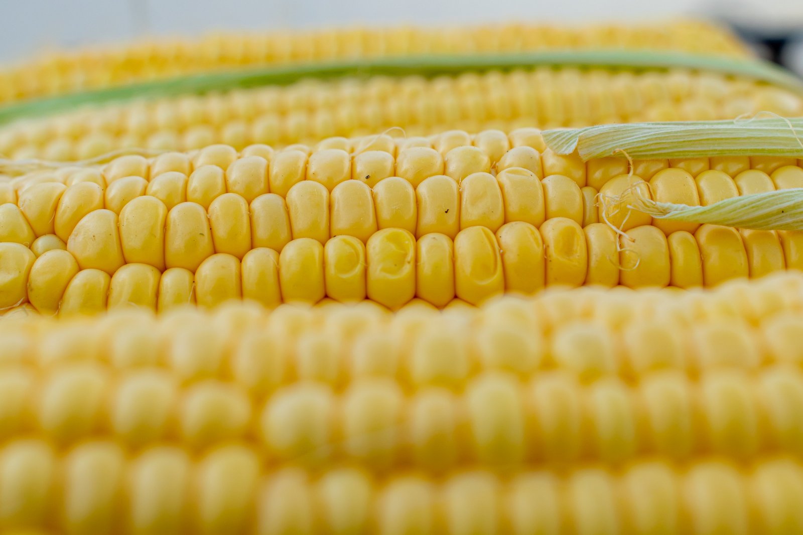 Freeze dried corn vs dehydrated corn and how to make them